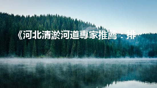 《河北清淤河道專家推薦：排名最好的清淤公司大揭秘！》